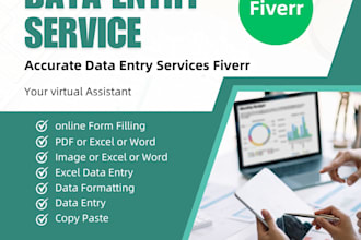 do fastest english and urdu data entry, typing, and manual translation