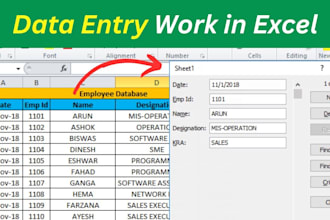 do professional data entry, typing , web research,excel,microsoft word
