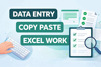 do accurate exel data entry and copy paste work