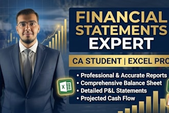 prepare professional financial statements