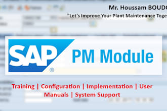 be your sap pm consultant