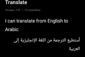 provide professional translation from english to arabic