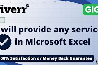 provide any service in microsoft excel