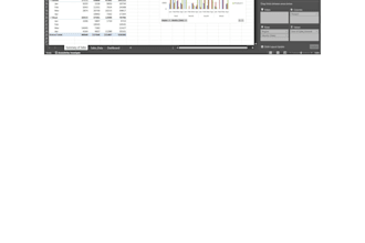 create excel data analysis, dashboard and data cleaning
