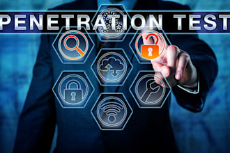 perform professional penetration tester and security audit