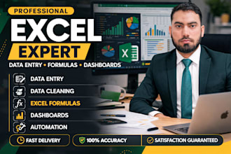 do excel data entry, data cleaning, excel formulas, and dashboard creation