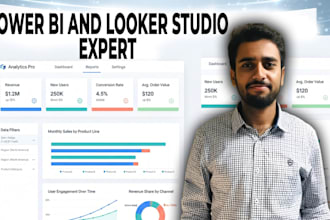 build custom power bi dashboards and looker studio data dashboards