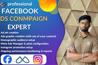be setup and organize facebook ads campaign