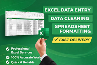 do professional microsoft excel data entry and data analysis