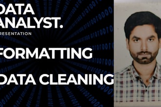 do excel data cleaning, formatting, pivot table