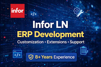 develop and customize infor ln erp solutions