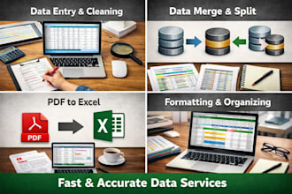 clean, format, merge, split , data entry and pdf to excel