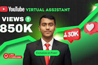 be youtube virtual assistant to grow channel and channel management