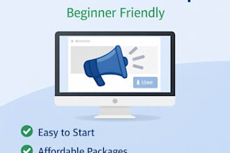 setup and manage facebook ads campaign for your business