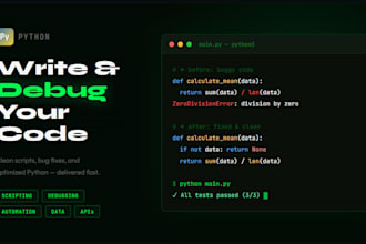 write or debug your python code