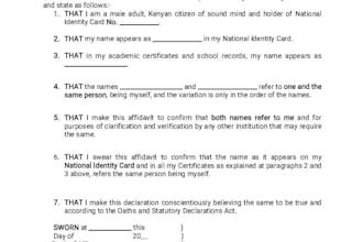 draft professional legal documents