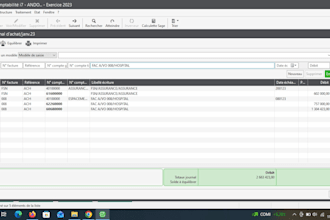 do accounting data entry, invoices and bookkeeping in excel