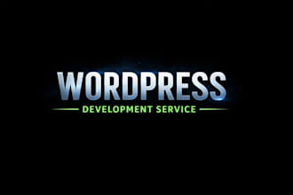 make professional wordpress website