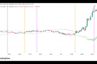 code tradingview indicator in pinescript, metatrader tradingview ninjatrader