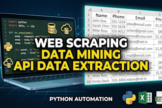 do web scraping, data mining, API scraping, and python automation