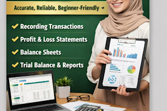 do professional bookkeeping and accounting in excel