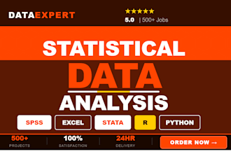 do statistical data analysis in spss, r, stata, python, excel