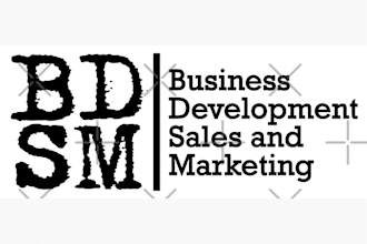 provide professional support in business development and sales strategy