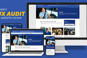 perform a professional website UX audit