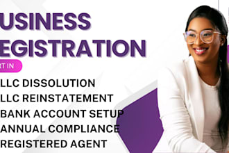 do llc registration, llc formation, ein application and full US business setup