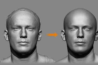 clean repair, retopology and optimize 3d scans stl obj 3mf for 3d printing