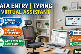 do data entry, copy paste, typing and excel data entry