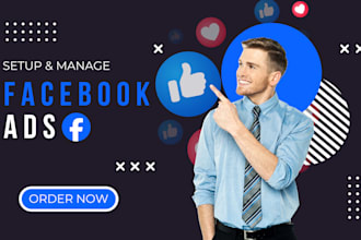 setup and manage facebook ads and meta ads campaigns