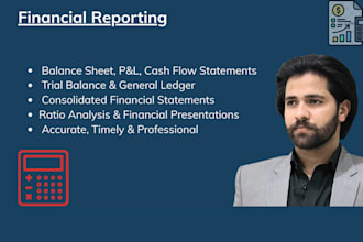 prepare professional financial statements and financial reports