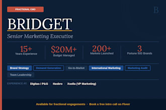 act as your fractional cmo for ongoing marketing leadership and strategy