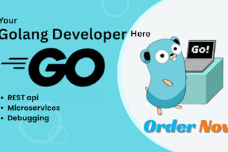 build high performance golang microservices and rest apis