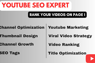 do complete video channel SEO and optimization