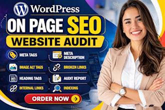 do wordpress on page SEO and a detailed website audit