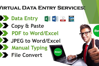 do expert data entry work in 2 hours