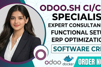 provide expert odoo consultancy and functional setup erp ci cd