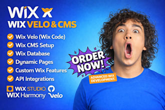 customize your wix website with wix code, wix velo, database, wix cms, wix pages
