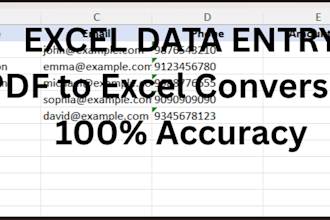 excel data entry and PDF to excel conversion