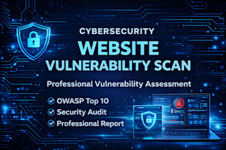 perform website vulnerability scan and security audit