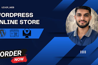 design ecommerce store and online webshop using  wordpress