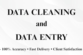 do accurate data entry, excel and administrative support