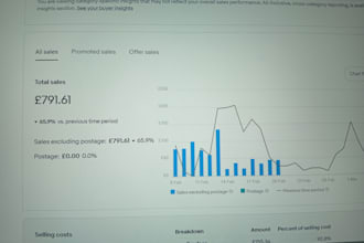 handle ebay store management and product listing