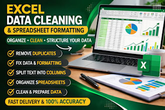 clean and format your excel spreadsheet
