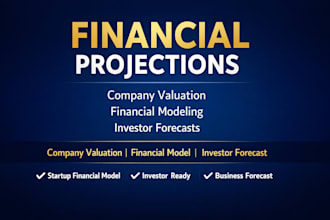 create financial model, projections and business valuation