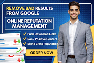 provide online reputation managment negetive link down postive build