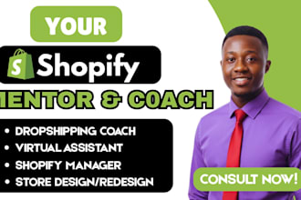 be your shopify mentor, dropshipping mentor, shopify consultant and coach