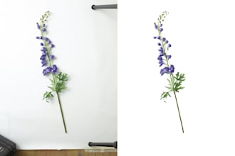 remove background and add natural shadow